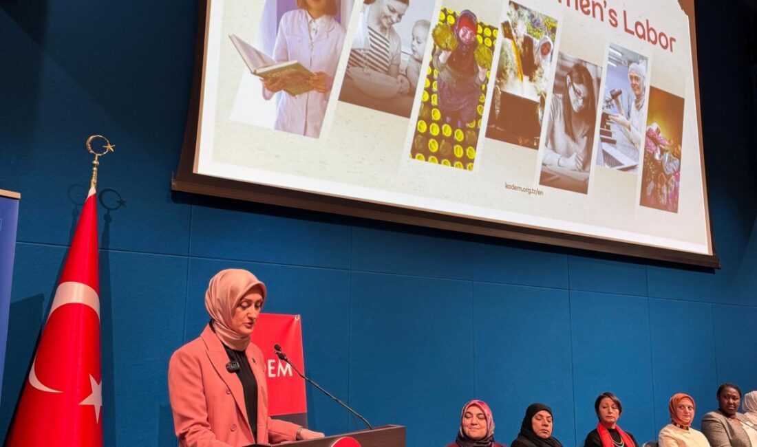 KADEM’in BM CSW69’da düzenlediği panelde kadın emeği, bakım ekonomisi ve